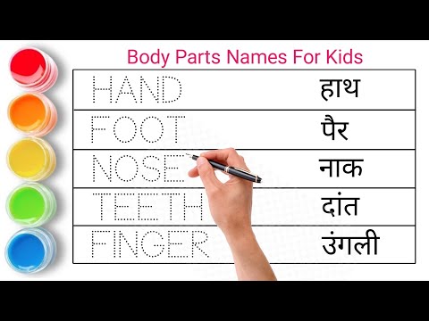 मानव शरीर के अंगों के नाम || Body parts name || Human body parts name in english and hindi ||