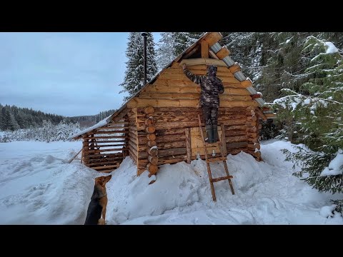 Forest Life off grid in a log cabin with my dog - Log cabin construction