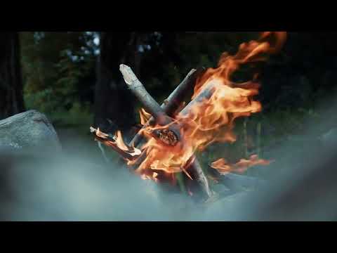 Small bonfire #video #nature #fire