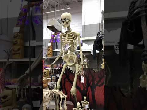 12 foot SKELETON 💀 #halloween2024 #spookydecorations #halloweendecorations #spookydecor