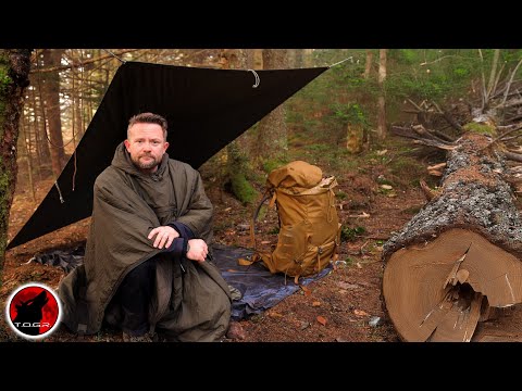 Not ALONE - Surrounded by Predators in a Foggy Forest Camp