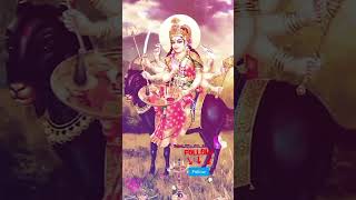 JAY MAA MELDI 🙏#meldimasong #youtubeshort #song #viralshort #viralvideos #viral