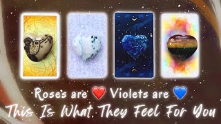 How are They Currently Feeling About You?❤️💙 Pick a Card Timeless In-Depth Love Tarot Reading