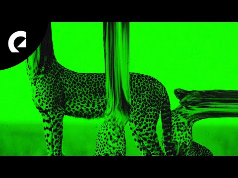 Zorro ft. Gamma Skies - Wild Things