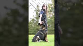 #k9 #dogs #k9trainer #dogstraning #trending #doglover #dogshorts #viralshort #viralvideo #fyp #love