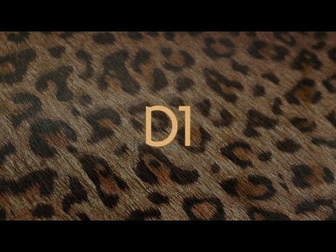 Lil Tecca - D1 (Lyric Video)