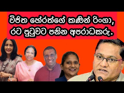 විජිත හේරත්ගේ කණින් රිංගා,රට පුටුවට පනින අපරාධකරු.2024.11.26.