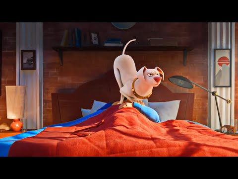 Dog Waking Up Their Owner -  DC League of Super-Pets