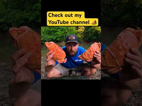 Eating like Kings!!  #shortvideo #shorts #camping #adventure