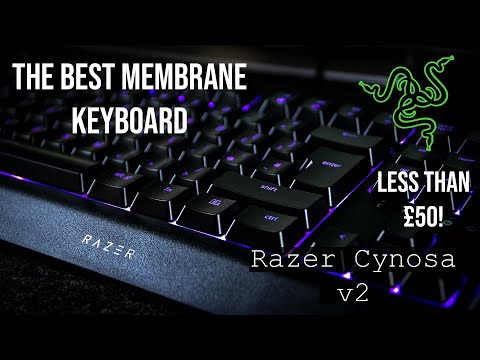 Razer Cynosa V2! The Best Quiet Membrane Gaming/Office Keyboard!