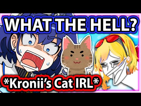 Kronii's Cat Surprised Kronii IRL and Made Kaela Laugh 【Hololive】