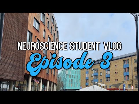 McDonald’s & Procrastination | London Neuroscience Student VLOG #3