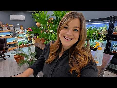 Potting Houseplants! 🪴 Sago & Ponytail Palm, Haworthia, Fern & a Huge Philodendron! 💚