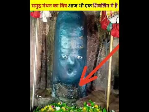 समुद्र मंथन का हलाहल विष आज भी एक शिवलिंग में विराजमान है🔱| Nilkanth Mahadev Temple Kalinger #shorts