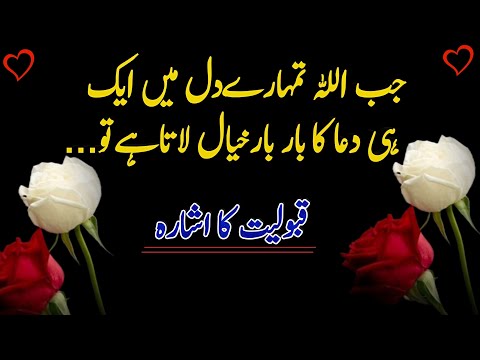 Dil mein ek hi dua ka bar bar khyal ana | heart touching dua quotes | best islamic motivation