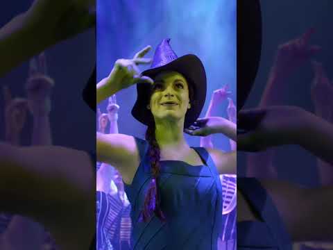 WICKED 20 Years on Broadway | WICKED the Musical