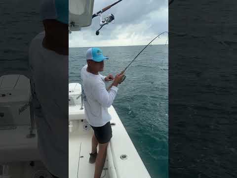 Prime Bottle Catches Massive Fish