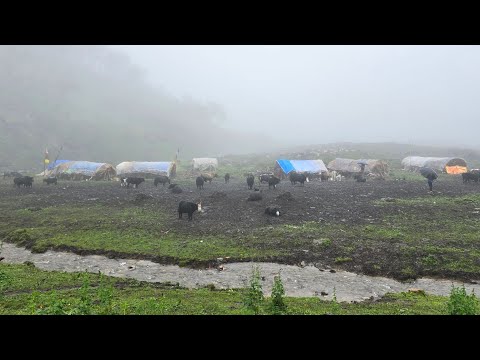 Beautiful Nepali Mountain Village Life in Nepal Most Peaceful & Relaxation Village Life in Rain Time