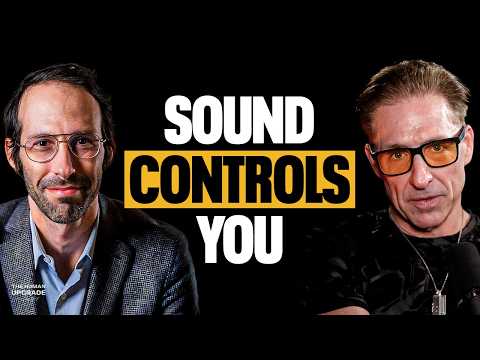 How Sound Rewires Your Brain: The Science of Vibration | Dr. Dave Rabin