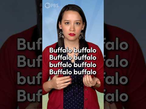 Buffalo buffalo Buffalo buffalo buffalo buffalo Buffalo buffalo