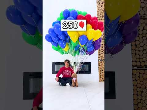 How Many Balloons To Make A Puppy Fly?