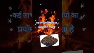 हवन करने के रहस्यमय और वैज्ञानिक लाभ || benefits of havan