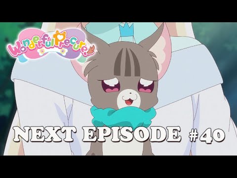 Wonderful Precure! - Episode #40 Preview - The Great Wanyan Incident