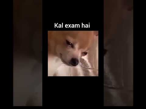 Tomorrow is my exam #exammeme #collegelifememes #examhumor #funny