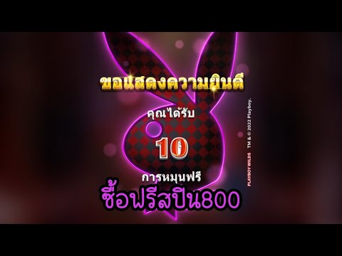 Playboy Wild │ ซื้อฟรีสปินได้แค่ 800 เเล้วก็มันจะมึนๆหน่อย #betway