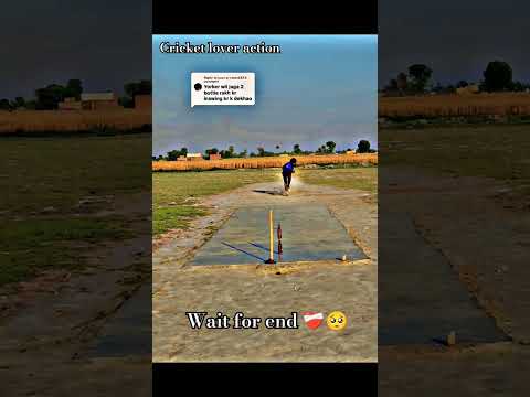 #cricket #cricketlover #viralreels #siraj #viratkohli #short #shorts