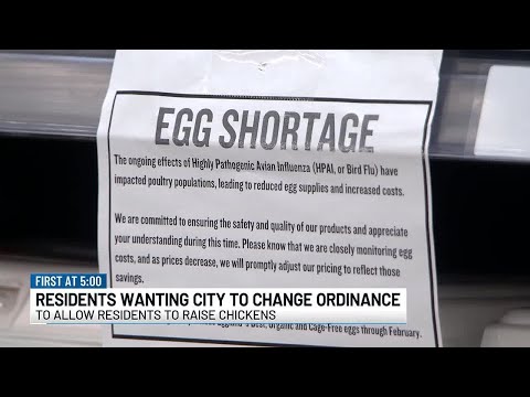 Ordinance in Lepanto forbids residents from owning chickens