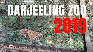 DARJEELING ZOO | Padmaja Naidu Himalayan Zoological Park