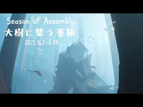 9.大樹に集う季節の思い出（Season Of Assembly）【sky星を紡ぐ子どもたち】