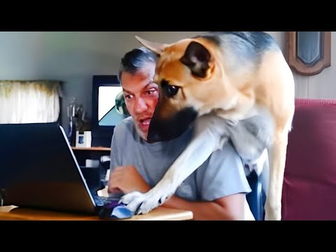 Trust me, this DOG has a Brain the Size of Planet! 😲 Funniest Dog Ever