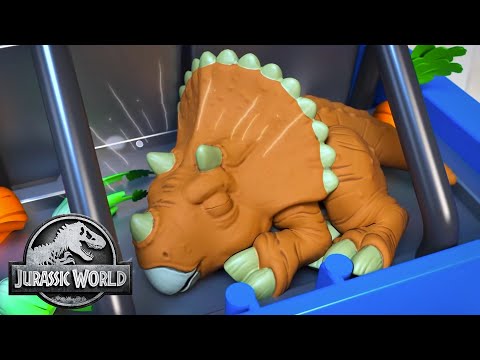 Where is the Ankylosaurus Hiding?? | Jurassic World | @ImaginextWorld