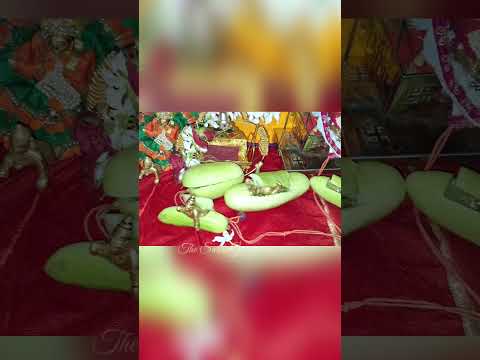 Krishna Janmashtami Decoration & Celebration 😃 | shorts @SarikaGhatol #shorts #thesarikag #krishna