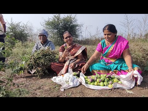 पहिल्यांदा ओव्याच झाड पाहिलं. खुप भाज्या तोडल्या. शेतातली मजा.