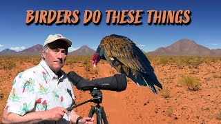 Birding vs Birdwatching: Here Are The Clues