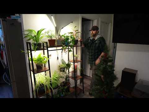 6-Tier Plant Stand with Grow Light