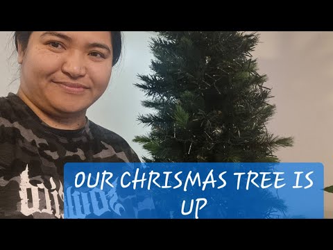 SETTING UP OUR CHRISTMAS TREE