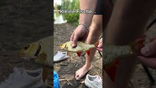 Seltenste Angel Highlights! #fisch #fische #angeln #angler #karpfen #karpfenangeln #fish #fishing