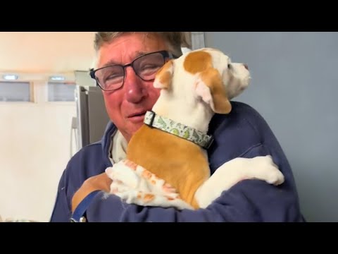 Surprising parents with their dream dog 🐶 Puppy Surprise 2024!