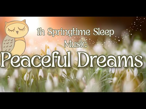 1h of Ambient Sleep Music for Spring