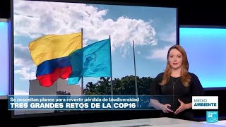 Los tres grandes retos de la COP16 de biodiversidad en Colombia