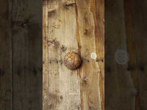 Wall lamp using coconut shell