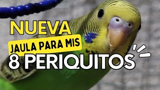 Jaula de mis Periquitos - Petite Animals