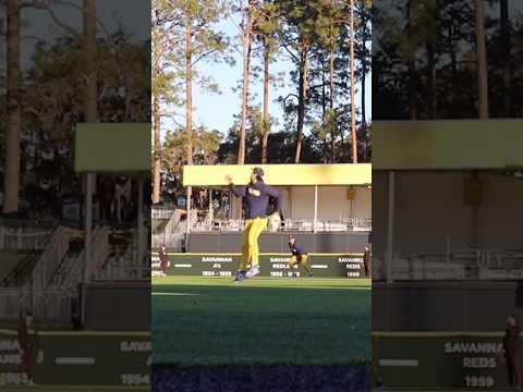 Insane Outfield Catch! #baseball #trending #shorts