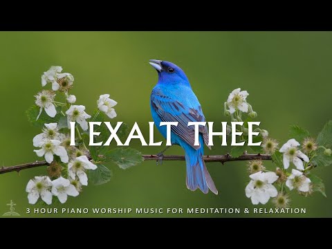 I Exalt Thee: Instrumental Worship Music to Help Stop Overthinking | Christian Piano