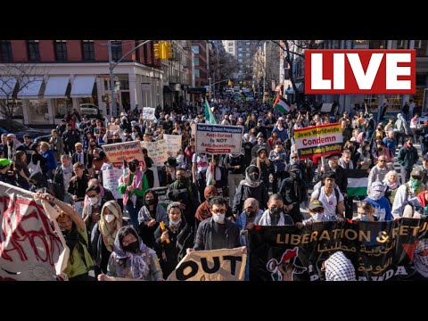 Protests in NYC after Homeland security searches Columbia University: WATCH