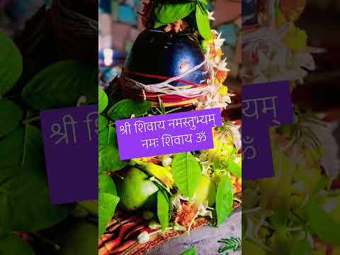 #harharmahadev #viralvideo #shorts #ytshorts #viralshorts #bhaktishorts #mahadev #shiv #holi #happy